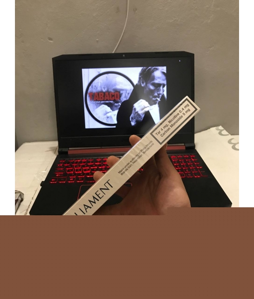 Parliament Nano (Камаз)